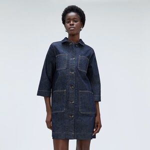 Everlane Denim Chore Dress